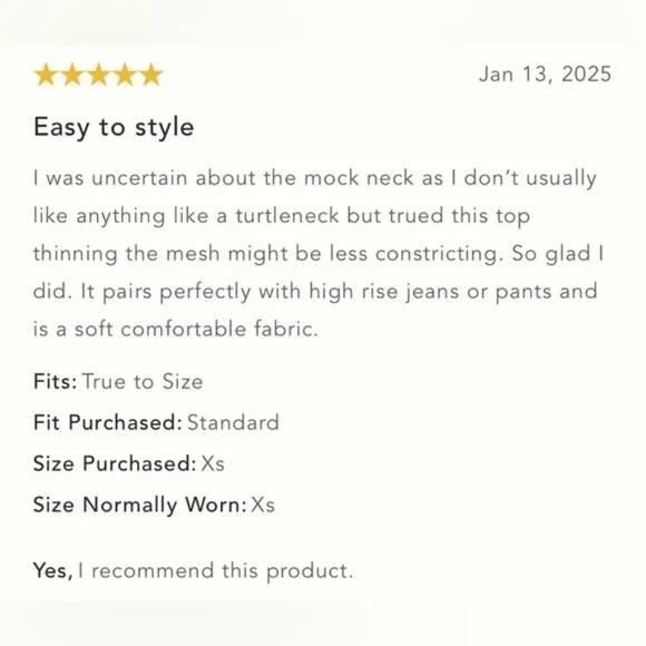 NWT Size M By Anthropologie Mesh Turtleneck Top - Picture 8 of 15